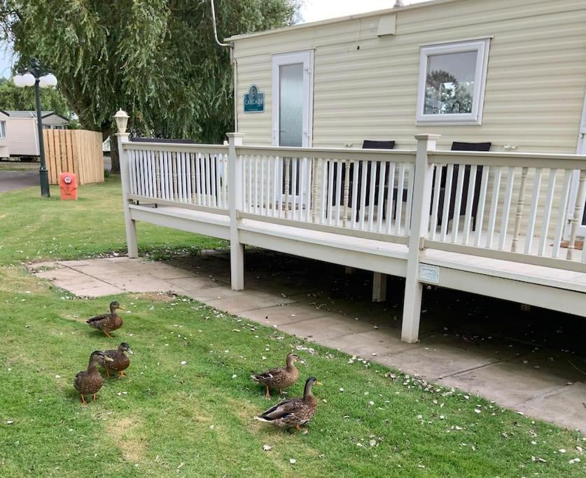 Ferienwohnung Springs Southview Skegness Winthorpe  Exterior foto